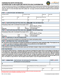 CES Authorization Form